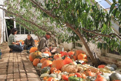 Witches & Wild Harvests: Half Term at Heligan!